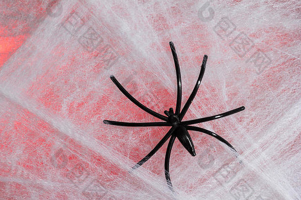 万圣节背景装饰假期概念关闭黑色的蜘蛛蜘蛛网红色的背景