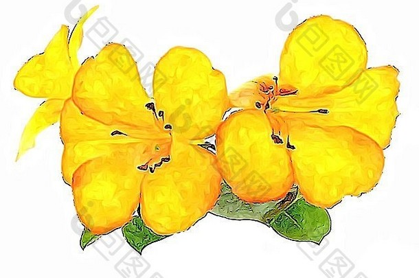 黄色的杜鹃花