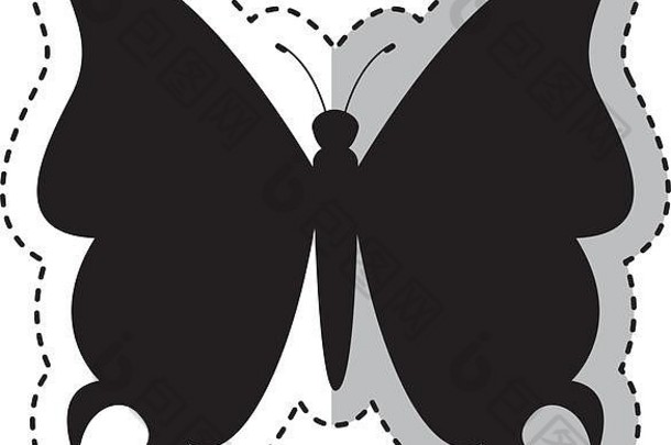 蝴蝶轮廓孤立的图标
