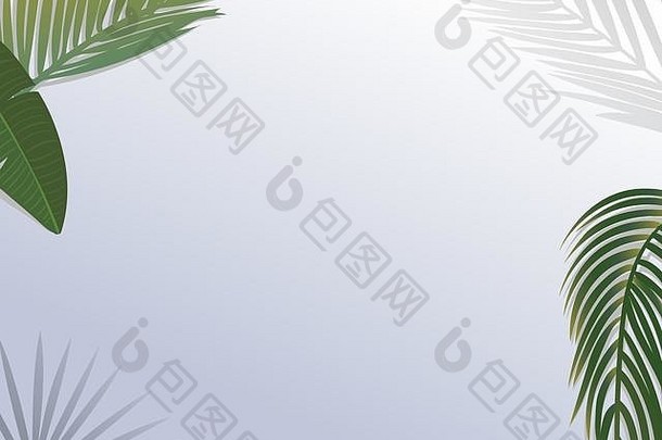 现实的绿色棕榈叶分支机构白色背景