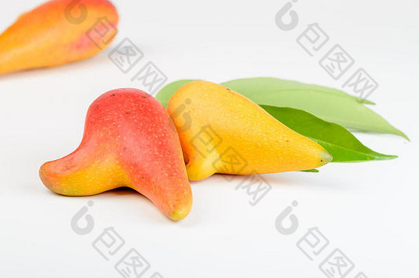 新鲜的芒果叶子白色背景辣椒被称为辣椒芒果
