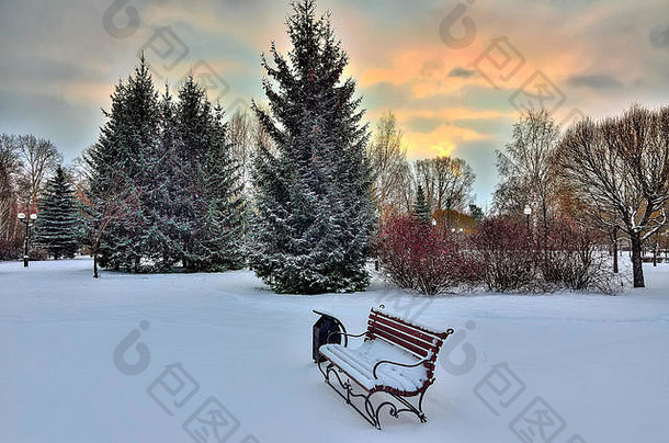 色彩斑斓的日落冬天公园雪覆盖冷杉灌木板凳上灯笼美妙的光冬天太阳风景如画的冬天景观