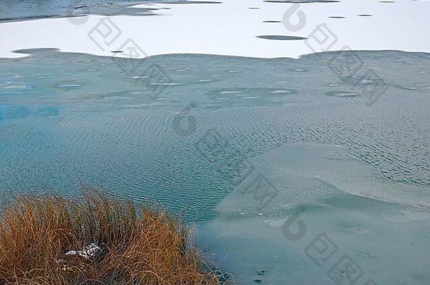 湖冻结早期冬天波水表面里德植物前景