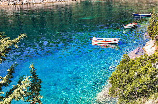 美丽的景观绿色森林翡翠水foki费斯卡多海滩凯法利尼亚岛爱奥尼亚岛屿希腊