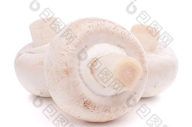 食用香草蘑菇孤立的白色背景