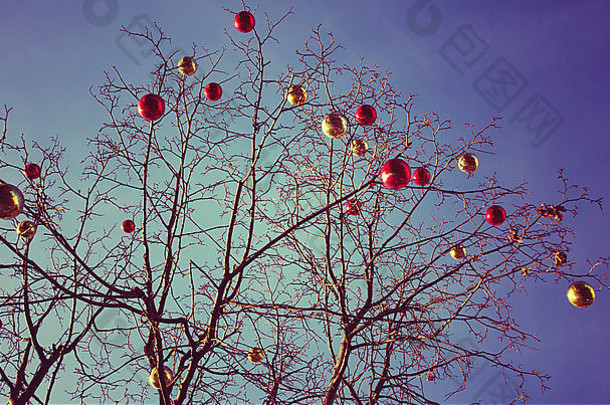 明亮的彩色的圣诞节装饰落叶的树莫斯科俄罗斯