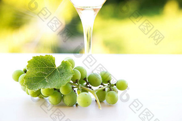 白色葡萄玻璃白色酒葡萄园