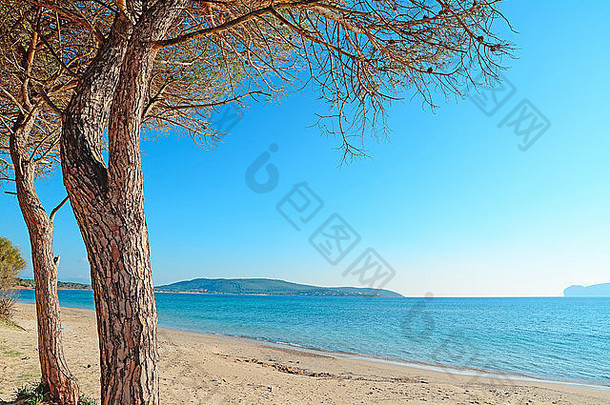 mugoni海滩阿尔盖罗清晰的阳光明媚的一天