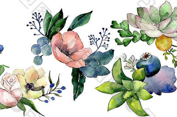 花束多汁的花植物花水彩背景集孤立的美美的插图元素