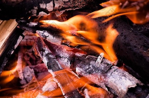 燃烧篝火假期徒步旅行森林离婚了烹饪保持温暖的冷晚上