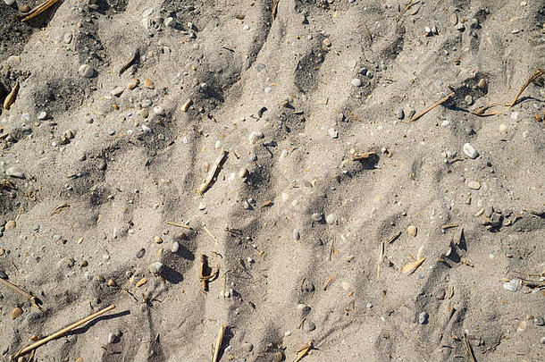 纹理湖边沙子小石头块木人类的足迹