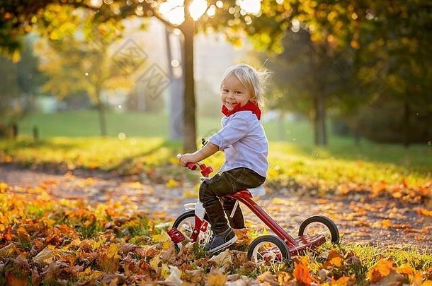 美丽的金发女郎年蹒跚学步的男孩骑红色的三轮车公园日落美丽的秋天一天