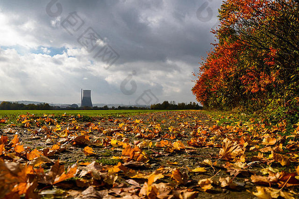 秋天多风的一天德国多云的天空黄色的叶子下降树站污垢路农田距离烟囱