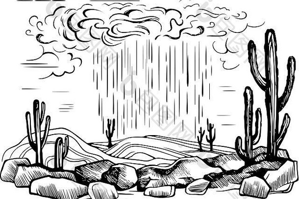 亚利桑那州沙漠雨风暴