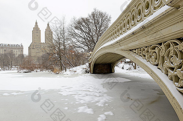 弓桥暴风雪中央公园曼哈顿纽约城市