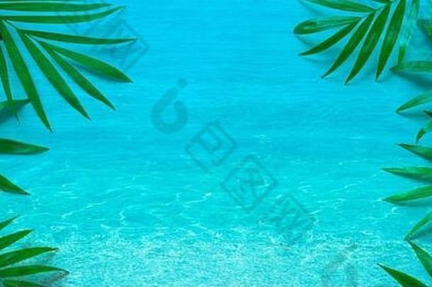 棕榈叶子蓝色的海表面