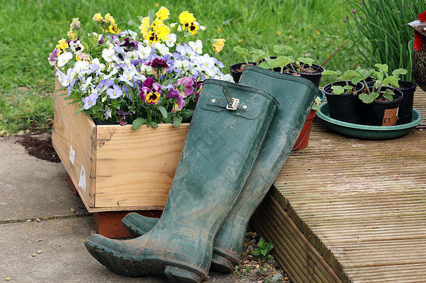 一天花园水皮靴子被遗弃的木装饰