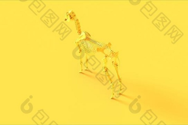 黄色的马骨骼系统解剖插图渲染