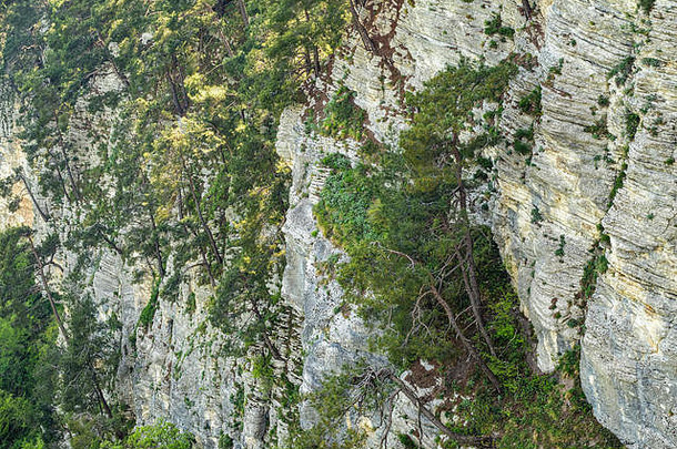 岩石悬崖密集的绿色森林春天颜色山森林自然背景春天季节