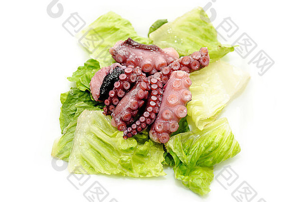开胃菜新鲜的煮熟的章鱼触角