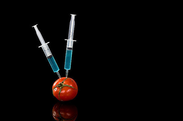 基因修改蔬菜番茄疫苗黑色的背景