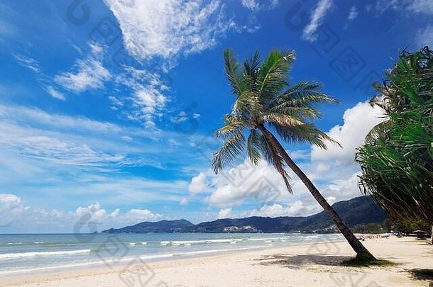 自然视图不错的热带夏天海滩手掌芭东海滩普吉岛岛泰国假期假期夏天季节概念美丽女孩