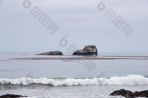 太平洋海洋的安静粗糙的一天石头布兰卡斯大象海豹假山海滩三西缅加州