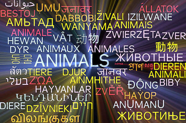 背景概念词云多语言国际语言插图动物发光的光