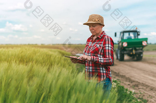负责任的聪明的农业现代技术农业生产女农民农学家数字平板电脑电脑移动应用程序