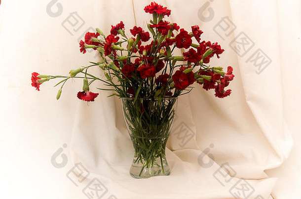 花瓶红色的康乃馨织物背景