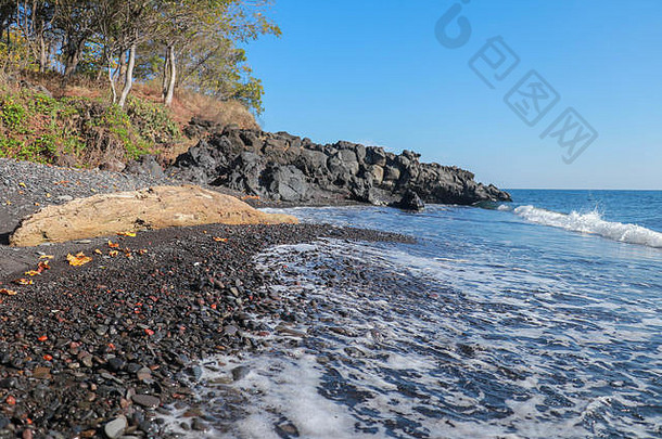 树干树洗海黑色的细火山沙子海滩巴厘岛岛印尼海水到达海岸