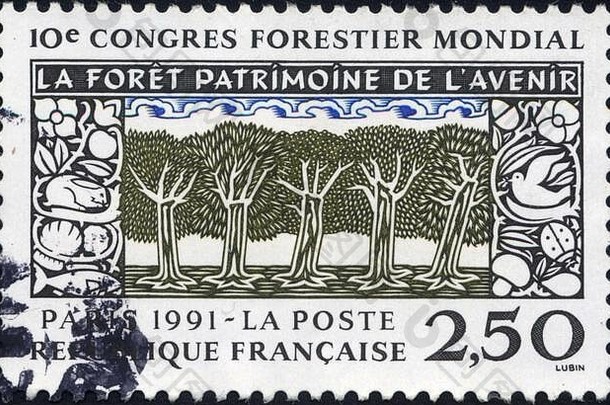 国会forestier)全世界范围的袷帕特莫因未来巴黎邮局共和国法兰西