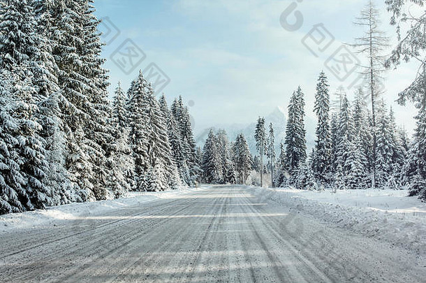 视图车骑雪覆盖冬天路树一边山克里文距离波德巴尼亚语斯洛伐克