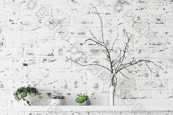 现代阁楼斯堪的那维亚室内多汁的植物架子上白色砖墙背景水平复制空间文本