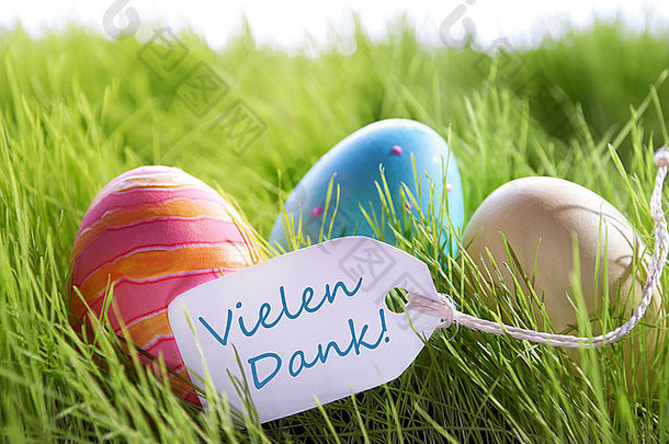 色彩斑斓的复活节背景复活节鸡蛋标签德国文本十分感谢潮湿的绿色草快乐复活节季节