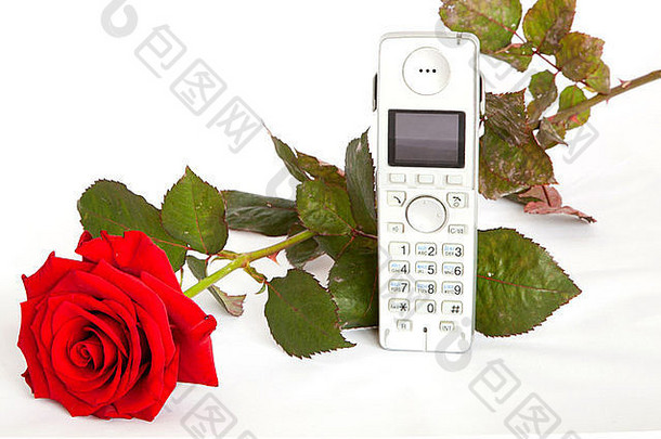 红色的玫瑰电话孤立的白色