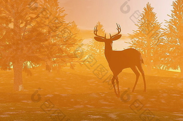 影子伯克站森林橙色多雾的日落