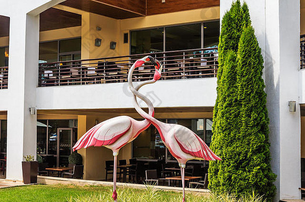 数据鸟flamengo前面酒店火烈鸟大酒店阿尔贝纳保加利亚