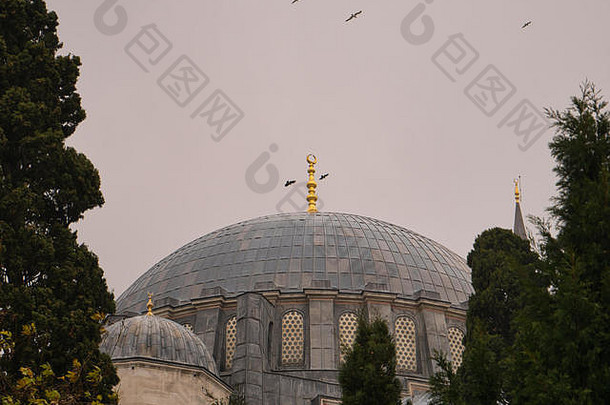 鸟绕圆顶大清真寺多云的天空