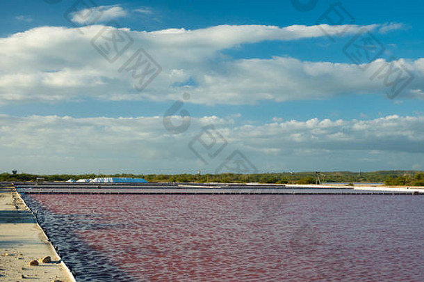波多黎各里科的西南角落里下士红色吨盐提取海水每年