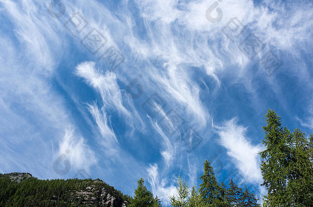 卷云侵权行为类型云山景观