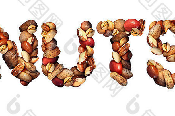 坚果象征信使混合分类生种子山核桃胡桃木巴西螺母花生榛子阿月浑子杏仁腰果健康的食物象征有营养的蛋白质孤立的白色背景