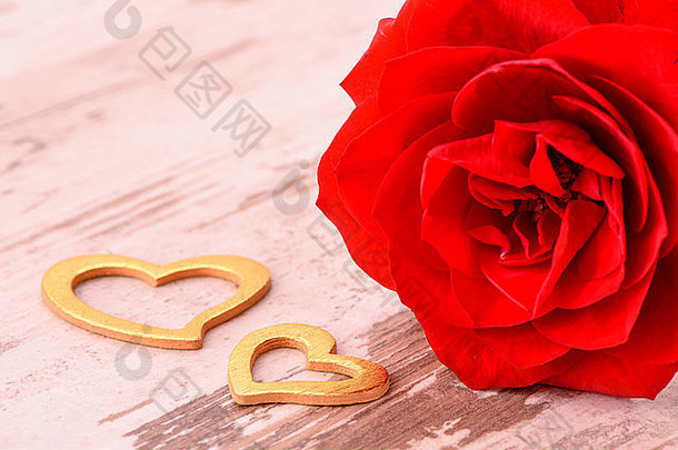 红色的玫瑰爱情人节一天生日妈妈。一天