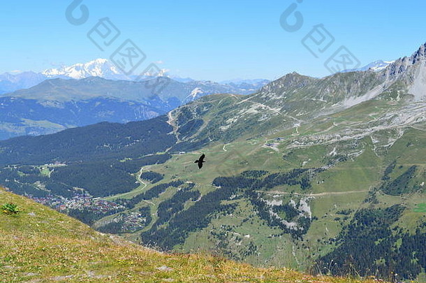大黑色的鸟飞行<strong>梅里</strong>贝尔谷法国阿尔卑斯山脉法国山雪绿色牧场高度滑雪滑道