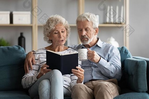 上了年纪的夫妇放松沙发上<strong>阅读</strong>书