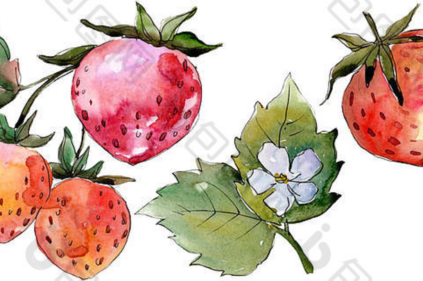 草莓健康的食物水彩背景插图集孤立的浆果插图元素
