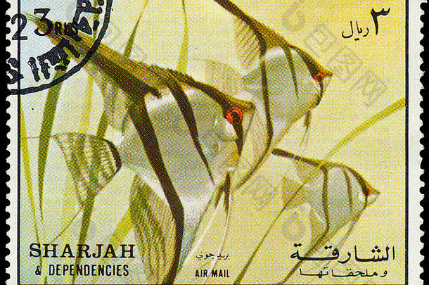 沙迦约邮票印刷沙迦显示海尼奥克斯中间部鱼约