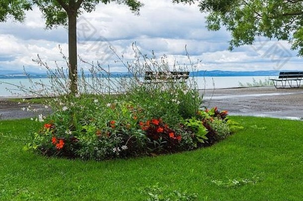 视图湖纽夏特美丽的花花园天空逃城市纽夏特广州纳沙泰尔瑞士