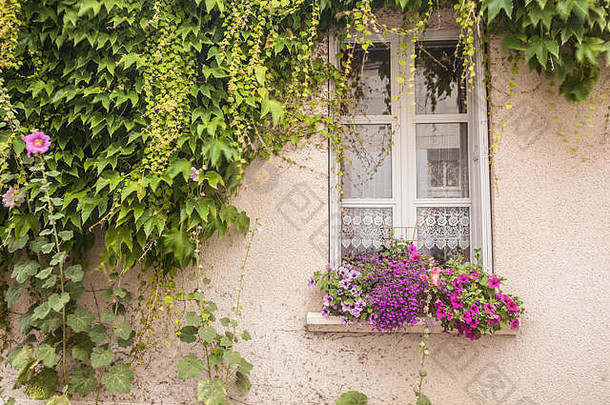 漂亮的窗口房子法国