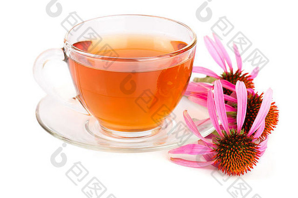 紫锥菊茶孤立的白色背景药用茶